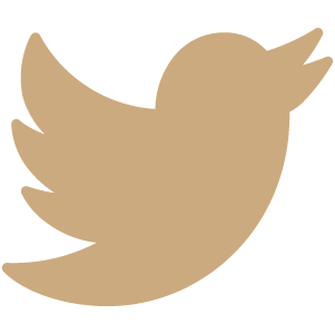 Twitter Logo